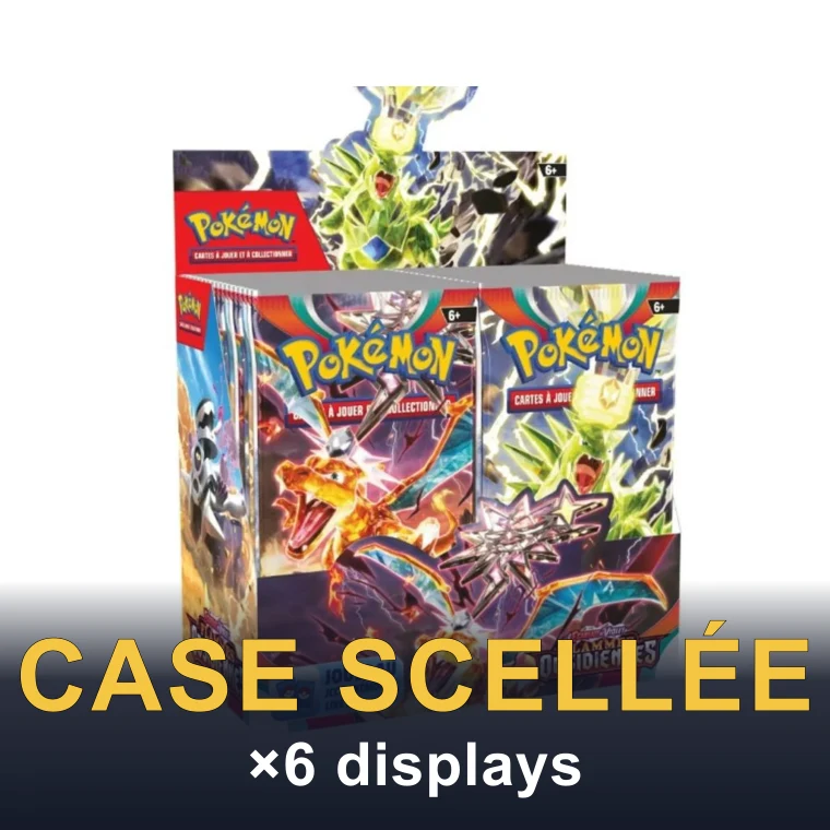 Case de 6 displays EV03 - Flammes Obsidiennes (FR)
